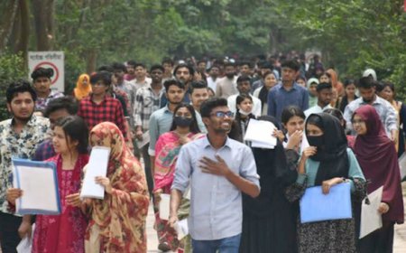 বাংলাদেশে স্নাতকদের কর্মসংস্থান: কোন বিভাগের শিক্ষার্থীরা এগিয়ে?