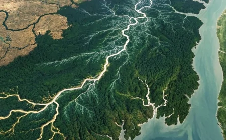 পরিবেশ পরিস্থিতি ও আমাদের করণীয়