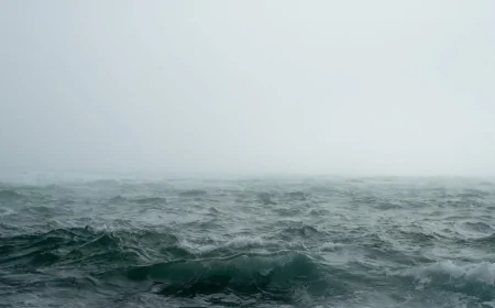 সমুদ্র বাঁচানোর শেষ সুযোগ: সময় এখনই