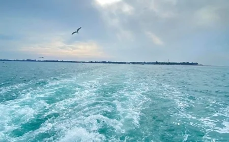 নীল স্বপ্নের দ্বীপ সেন্ট মার্টিন