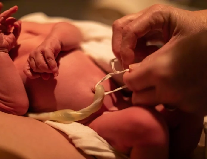 নাভিরজ্জু