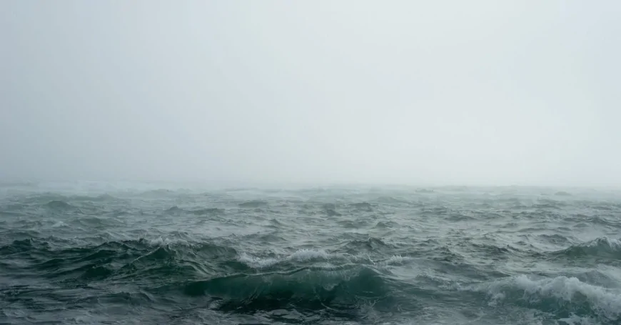 সমুদ্র বাঁচানোর শেষ সুযোগ: সময় এখনই