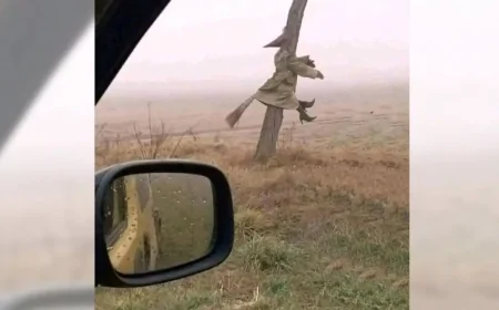 ভুতের অ্যাক্সিডেন্ট! এক বিদেহী আত্মার ডায়েরি