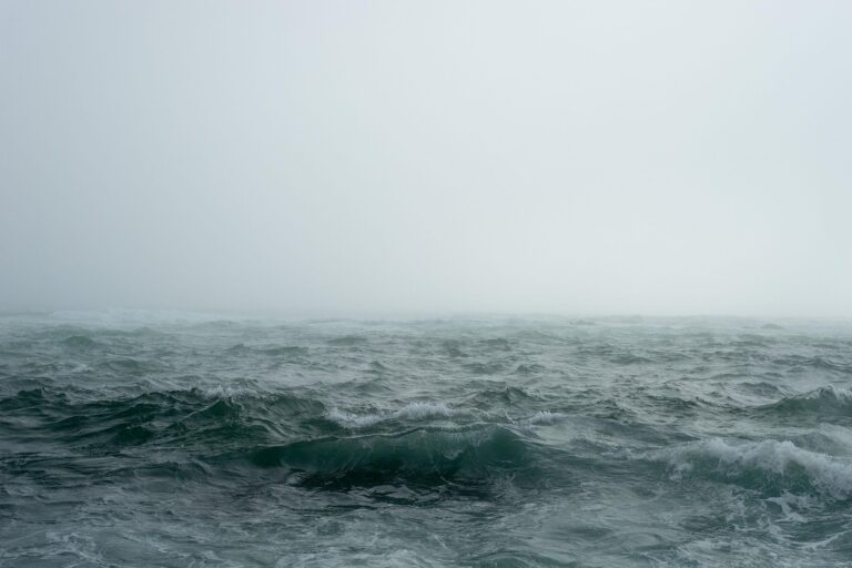 sea