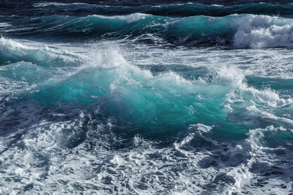sea 7792564