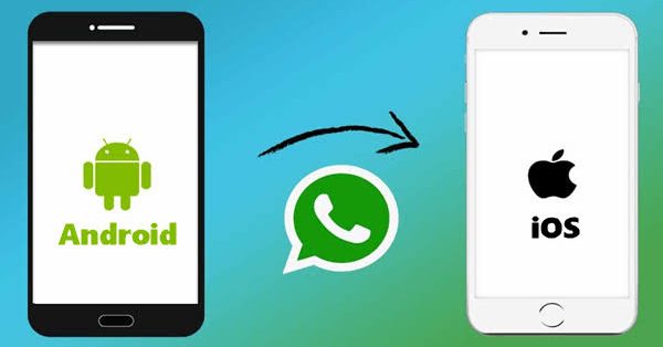 Transfer Whatsapp from Android to iOS